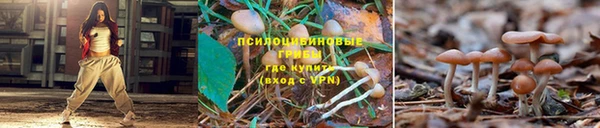 винт Алзамай