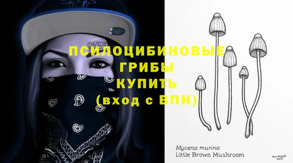 ALPHA-PVP Алексин