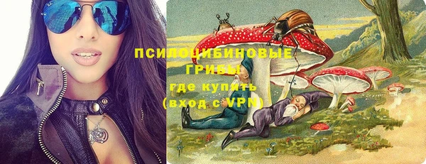 винт Алзамай