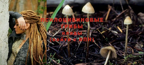 винт Алзамай