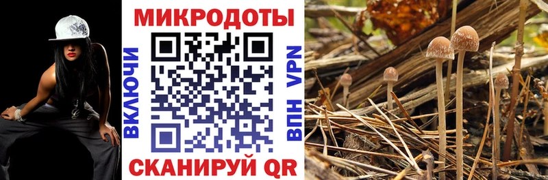 Псилоцибиновые грибы мицелий  Коркино 
