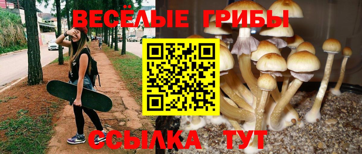 Галлюциногенные грибы мицелий Коркино